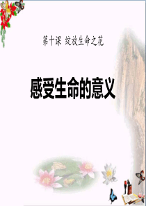 感受生命的意义-PPT
