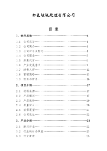 白色垃圾处理公司创业商业计划书（DOC56页）