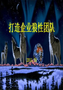 狼性团队(演讲版)