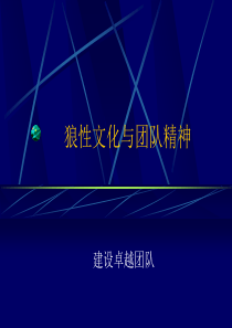 狼性文化与团队精神