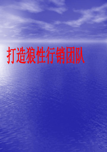 狼性行销团队