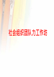 社会组织团队力PPT