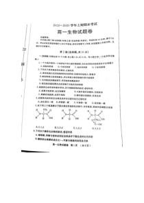 2019-2020学年上期期末考试生物试卷及参考答案
