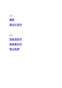 绝密金融企业商业计划书