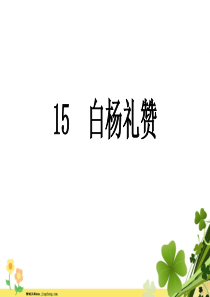 河南专版八年级语文上册第四单元15白杨礼赞课件新人教版