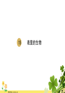 部编版部编版2020春六年级语文下册第五单元15表里的生物课件