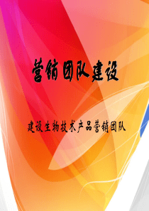 营销团队建设