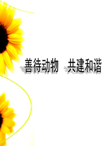 一年级下册课件道德与法制7可爱的动物2