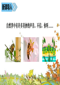 人教统编版部编版三年级上册2018部编版第二单元7课堂教学课件听听秋的声音