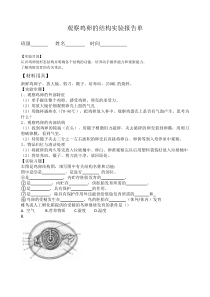 观察鸡卵的结构实验报告单