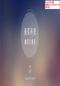 茜莓科技.商业计划书（PDF25页）