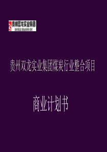 贵州双龙商业计划书