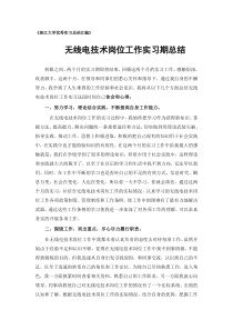 无线电技术专业实习总结范文