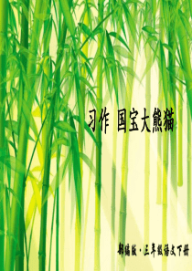 部编版统编三年级语文下册精品课件习作国宝大熊猫