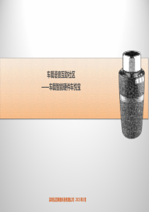 车悦宝商业计划书商业计划书（PDF34页）