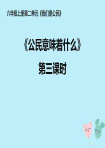 六年级道德与法治上册第二单元我们是公民3公民意味着什么第3课时课件新人教版