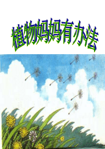 部编版语文二年级上册课件3植物妈妈有办法ppt课件2