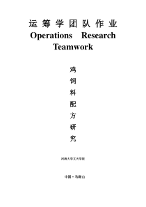 运筹学团队作业