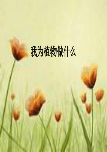人教版小学三年级下册科学44我为植物做什么