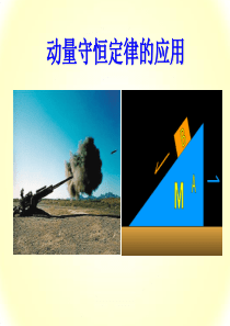 动量守恒定律复习课教材