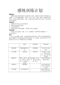 感统训练计划