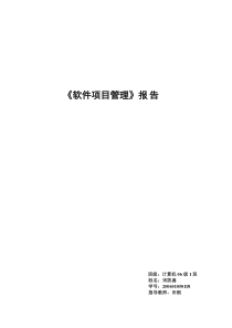 《软件项目管理》报告