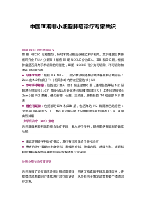 中国Ⅲ期非小细胞肺癌诊疗专家共识