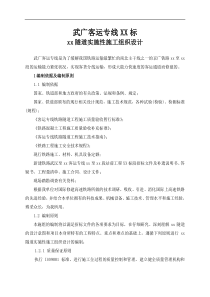 武广客运专线某标某隧道(实施)施工组织设计