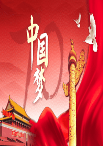 中国梦政党述职汇报PPT模板