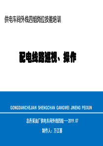 配电线路巡视、操作(一)