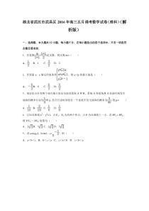 武汉市武昌区2016年高三五月调考理科数学试卷含答案解析