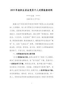 党支部2019年党员干部个人对照检查材料(范文)