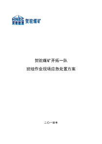 XXXX年班组作业现场应急处方案