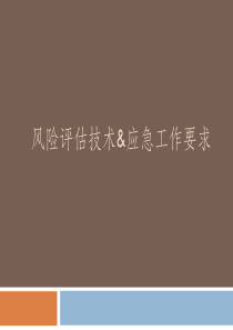 XXXX应急工作安排&amp;风险评估技术方案