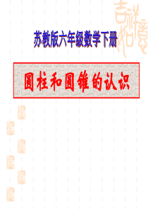 苏教版六年级圆柱和圆锥的认识PPT