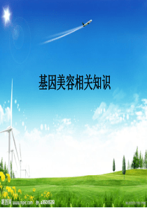 细胞生物基因美容-PPT
