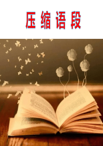 高考语文压缩语段1课件(25张ppt)