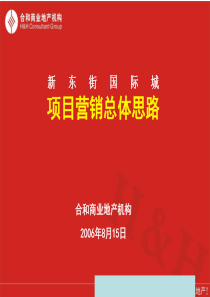 06年新东街国际城项目营销总体思路--WYJ903
