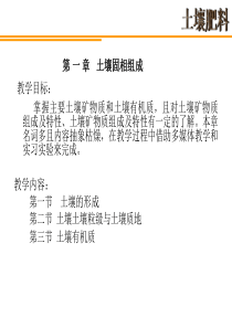土壤固相组成