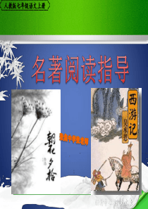 人教版七年级名著阅读复习PPT