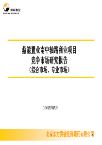 08.北京鼎能置业南中轴路商业项目市场研究－综合、专业市场 (NXPowerLite)
