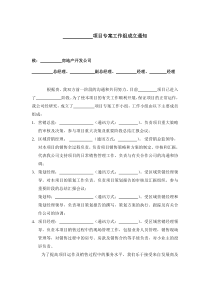 1  项目专案组成立通知1