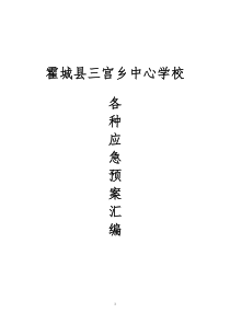 三宫乡中心学校各种应急预案汇编
