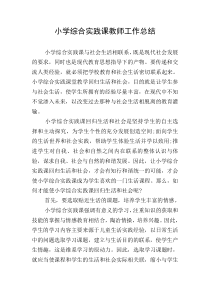 小学综合实践课教师工作总结