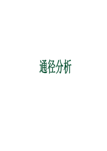 通径分析