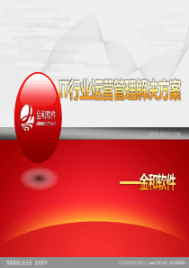 IT行业运营管理解决方案v10