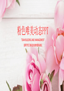 粉色唯美玫瑰背景PPT模板