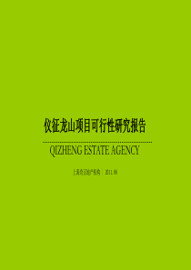 110823-仪征龙山项目可行性报告2稿