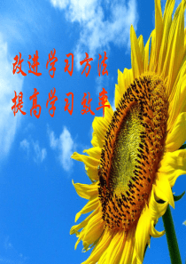 学习经之十八(改进学习方法提高学习效率)