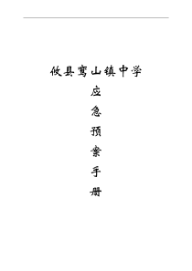 创建平安校园实施细则各类安全应急预案_2